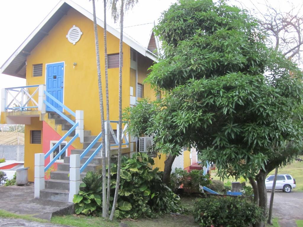 Buttercup Cottage Apartments Arnos Vale Dış mekan fotoğraf